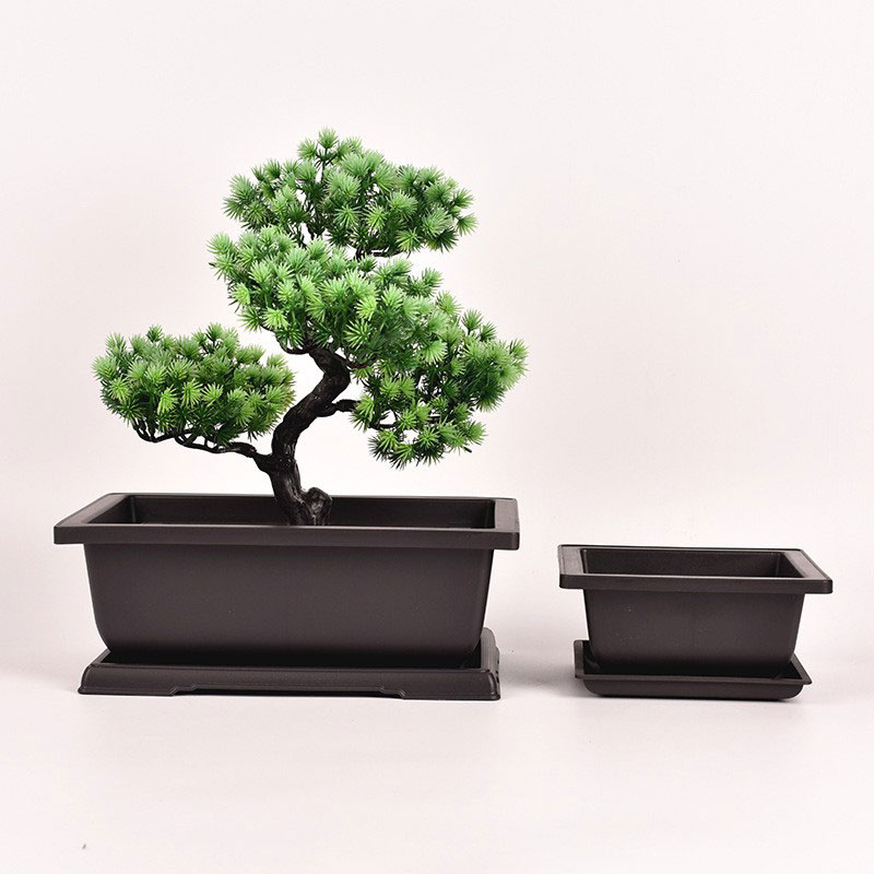 Düzbucaqlı Bonsai Qazanı